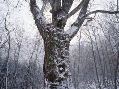 DSC_0040.jpg