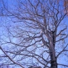 DSC_0115.jpg