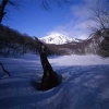 DSC_0012-01.jpg