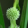 DSC00020.JPG
