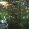 DSC00012.JPG