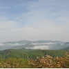 DSC_1726.JPG