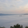 DSC_2932.JPG