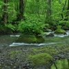 DSC_2973.JPG