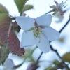 DSC_3049.JPG