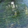 DSC_7178.JPG