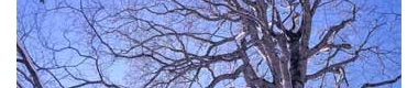 DSC_0115.jpg
